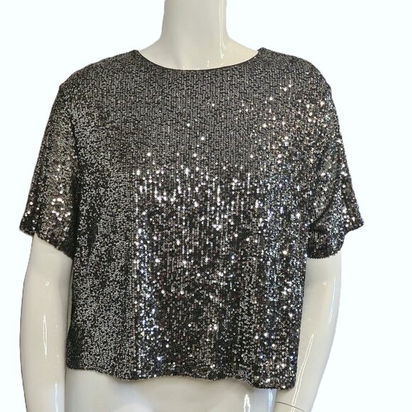 Rock & Shine by Reitmans Silver Short -Sleeved Sequin Top Size XXL - Picture 1 of 9